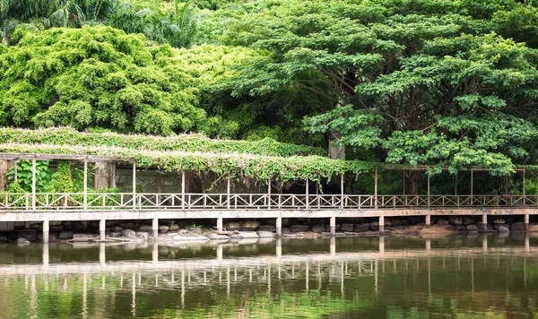 Pasarela de madera en el jardín —  Fotos de Stock