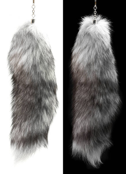 Animal fur isolated
