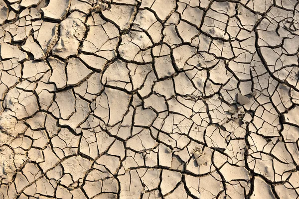 Cracked Soil Background Texture Material Arid Waterless Area Climate Change — Stock Photo, Image