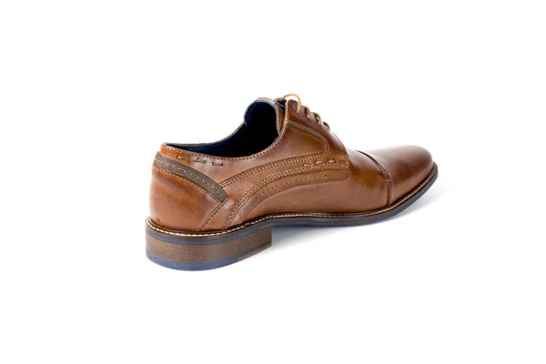 Zapato marrón masculino sobre fondo blanco —  Fotos de Stock