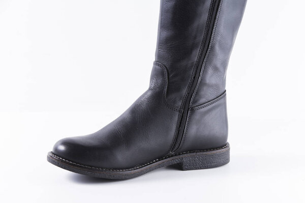 Самка черного на белом фоне
