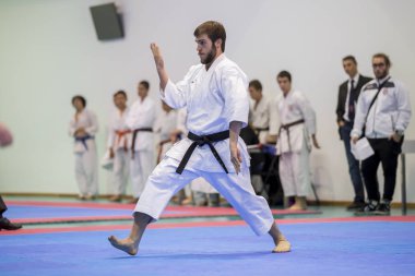 Karate olay, Karate Derneği kutlama Şampiyonası yapmak Porto.