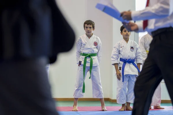 Karate versenyen, ünnepi-Európa-bajnokság, az Egyesület Karate do Porto — Stock Fotó