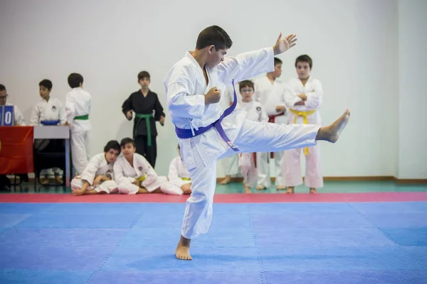 Vila Nova Gaia Portugalsko Listopadu 2017 Karate Akce Slavnostní Mistrovství — Stock fotografie