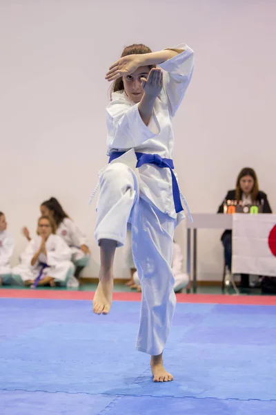 Vila Nova Gaia Portugal Noviembre 2017 Evento Karate Campeonato Celebración — Foto de Stock