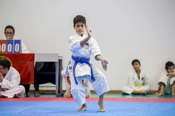 Vila Nova Gaia Portugalsko Listopadu 2017 Karate Akce Slavnostní Mistrovství — Stock fotografie