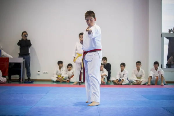Vila Nova Gaia Portugalsko Listopadu 2017 Karate Akce Slavnostní Mistrovství — Stock fotografie
