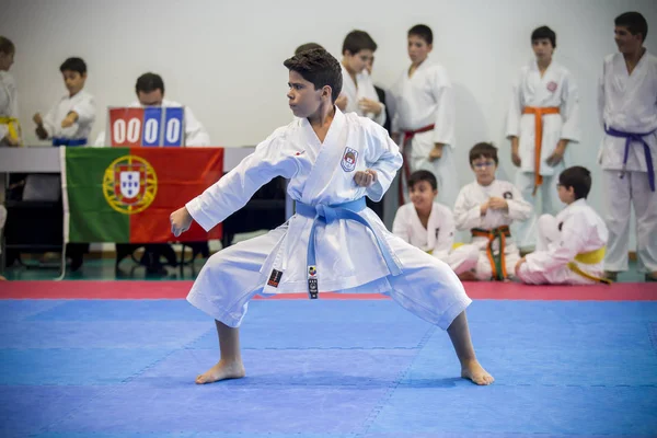 Vila Nova Gaia Portugal November 2017 Karate Evenement Feestelijke Kampioenschap — Stockfoto