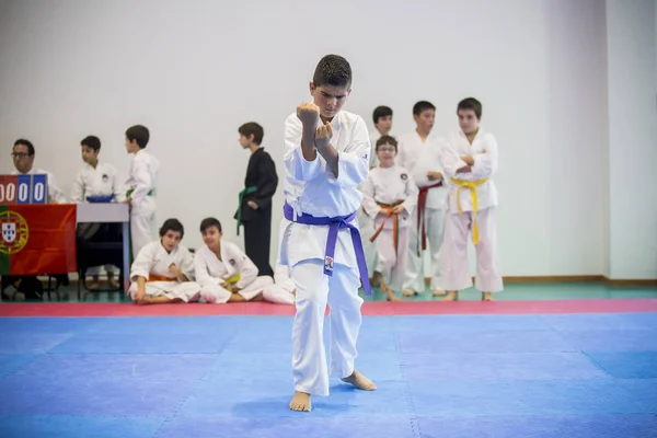 Vila Nova Gaia Portugalsko Listopadu 2017 Karate Akce Slavnostní Mistrovství — Stock fotografie