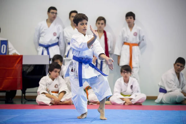 Vila Nova Gaia Portugal Noviembre 2017 Evento Karate Campeonato Celebración — Foto de Stock