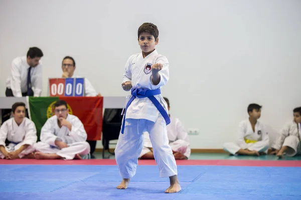 Vila Nova Gaia Portugalsko Listopadu 2017 Karate Akce Slavnostní Mistrovství — Stock fotografie