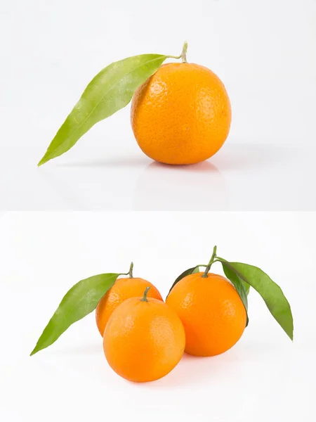 Elszigetelt Citrus Gyűjtemény Egész Tangerine Vagy Mandarin Narancs Gyümölcsök Elszigetelt — Stock Fotó