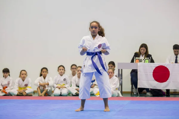 Vila Nova Gaia Portugal November 2017 Karate Evenement Feestelijke Kampioenschap — Stockfoto