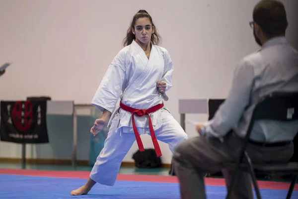 Vila Nova Gaia Portugal Listopada 2017 Karate Zdarzenia Uroczysty Mistrzostwa — Zdjęcie stockowe