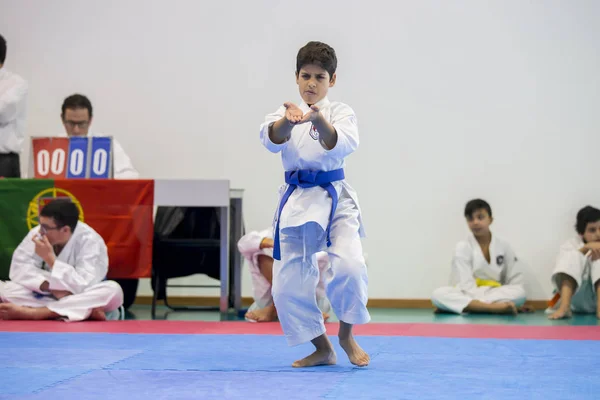 Vila Nova Gaia Portugalsko Listopadu 2017 Karate Akce Slavnostní Mistrovství — Stock fotografie
