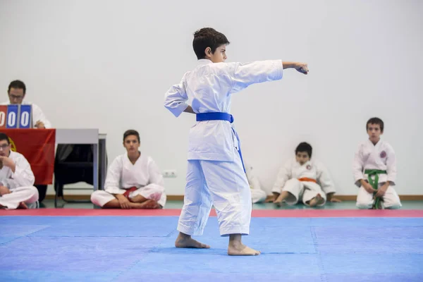 Vila Nova Gaia Portugal November 2017 Acara Karate Kejuaraan Perayaan — Stok Foto