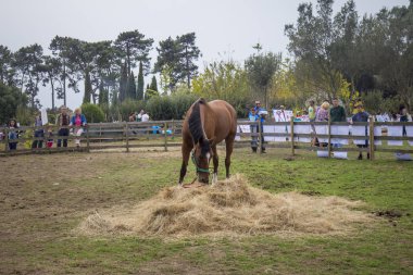 Porto, Portekiz, 24 Eylül 2017: Sonbahar parti çocuk sonbahar ile ilgili çeşitli etkinliklere katılan yüzlerce Serralves Vakfı'nda.
