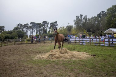 Porto, Portekiz, 24 Eylül 2017: Sonbahar parti çocuk sonbahar ile ilgili çeşitli etkinliklere katılan yüzlerce Serralves Vakfı'nda.