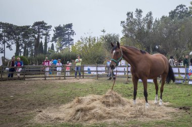 Porto, Portekiz, 24 Eylül 2017: Sonbahar parti çocuk sonbahar ile ilgili çeşitli etkinliklere katılan yüzlerce Serralves Vakfı'nda.
