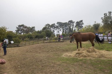 Porto, Portekiz, 24 Eylül 2017: Sonbahar parti çocuk sonbahar ile ilgili çeşitli etkinliklere katılan yüzlerce Serralves Vakfı'nda.
