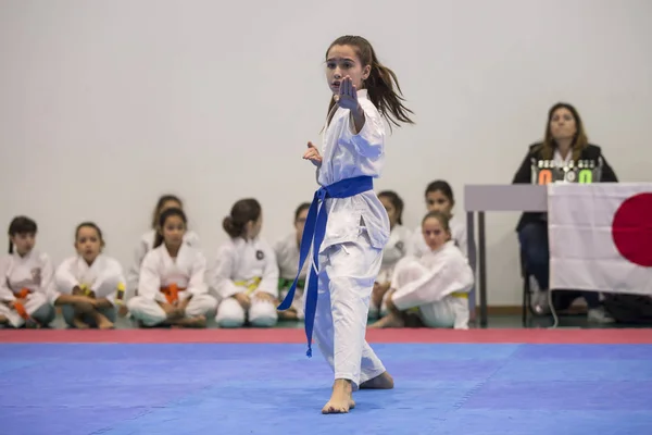 Vila Nova Gaia Portugal November 2017 Karate Event Feierliche Meisterschaft — Stockfoto