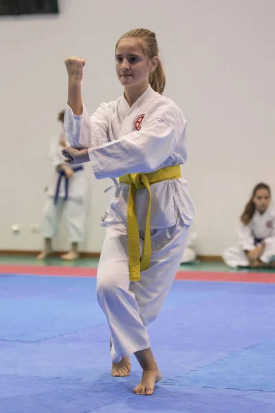 Vila Nova Gaia Portugal November 2017 Karate Evenement Feestelijke Kampioenschap — Stockfoto