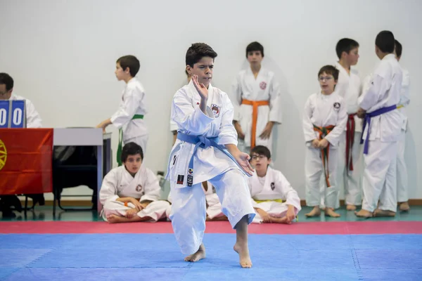 Vila Nova Gaia Portugalsko Listopadu 2017 Karate Akce Slavnostní Mistrovství — Stock fotografie