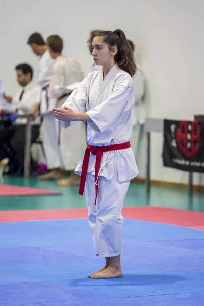 Vila Nova Gaia Portugal Noviembre 2017 Evento Karate Campeonato Celebración — Foto de Stock