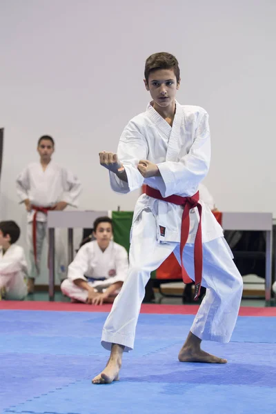 Vila Nova Gaia Portugal Listopada 2017 Karate Zdarzenia Uroczysty Mistrzostwa — Zdjęcie stockowe