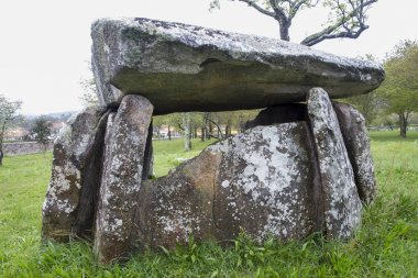 Vila Praia de Ancora, Kuzey Portekiz içinde bulunan Barrosa, Dolmen.