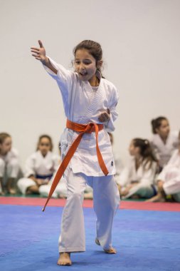Bir Vila Nova de Gaia, Portekiz, 05 Kasım 2017: Karate olay, Karate Derneği kutlama Şampiyonası Porto, Vila Nova de Gaia, Portekiz Belediye pavyonu yılında düzenlenen musun.