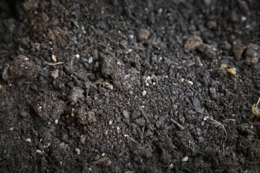 Bahçe işleri için Terra Preta Bileşimi 'nin ayrıntıları.