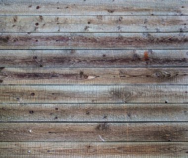 Ahşap panel duvar doku grunge