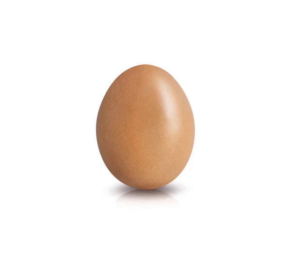 Egg isolated on white background cutout — Stock Photo, Image