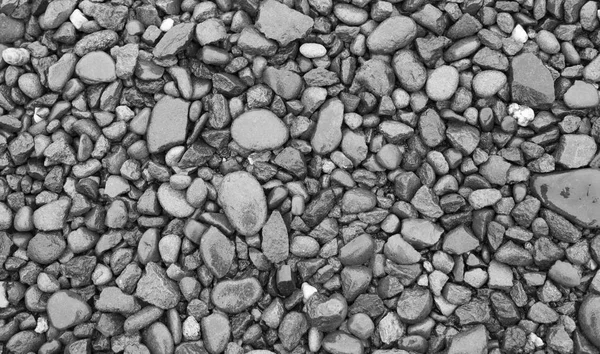 Pebble molhado, fundo rochas — Fotografia de Stock