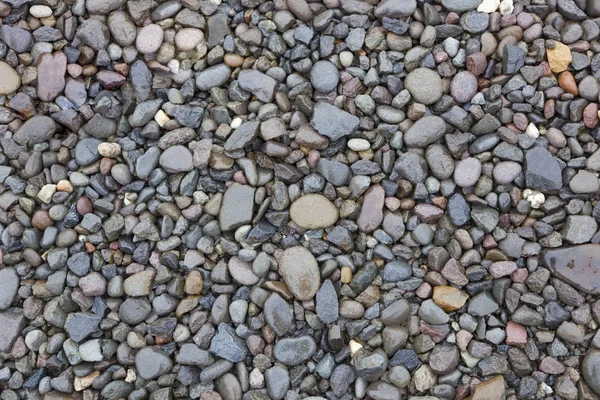 Nassen Kiesel, Felsen Hintergrund — Stockfoto