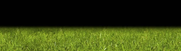 Perfect green background by the fresh grass — Stock Photo, Image