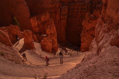 Hoodoos Bryce Garden