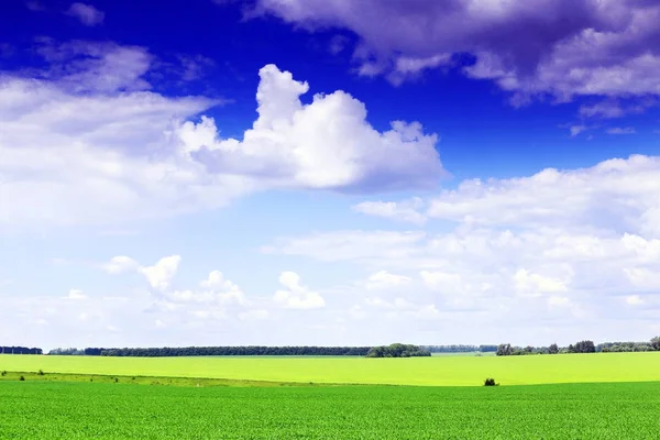 Modrá obloha s mraky a zelenou trávou — Stock fotografie