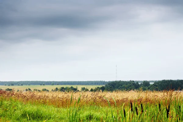 Prairie avec nuages gris orageux — Photo