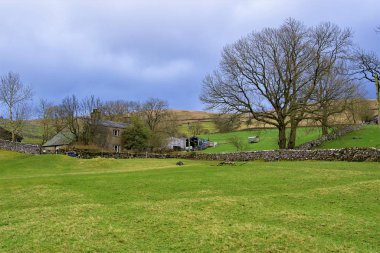 Malham yürüyüş yapmak ve temiz havanın, muhteşem manzaraların ve manzaraların tadını çıkarmak için harika bir yer. Janet 's Foss, Gordale Scar, Malham Tarn ve Malham Cove hepsi görmeli.