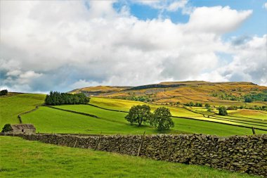 Austwick, İngiltere 'nin Kuzey Yorkshire eyaletinin Craven ilçesine bağlı bir köydür. Yorkshire Dales Ulusal Parkı 'nın kıyısında Norber Erratikler Britanya' daki en iyi buzul düzensiz kayalarıdır..