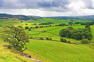 Austwick, İngiltere 'nin Kuzey Yorkshire eyaletinin Craven ilçesine bağlı bir köydür. Yorkshire Dales Ulusal Parkı 'nın kıyısında Norber Erratikler Britanya' daki en iyi buzul düzensiz kayalarıdır..