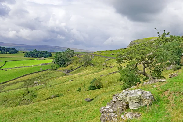 Austwick Wieś Anglii Hrabstwie North Yorkshire Dystrykcie Craven Skraju Parku — Zdjęcie stockowe