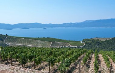 Hırvatistan 'ın Dubrovnik' e giderken Dalmation maliyetinin yanında bazı güzel manzaralar da var..