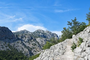 Paklenica karst nehir kanyonu Hırvatistan 'da bir ulusal parktır. Kuzey Dalmaçya 'daki Starigrad yakınlarında, Zadar yakınlarındaki Velebit dağının güney yamaçlarında yer alır. Sergide Mala (Küçük) ve Velika (Büyük) Paklenica olmak üzere iki kanyon yer alıyor.. 