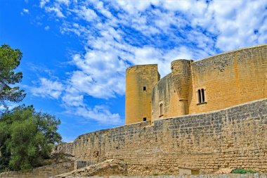 Palma, Palma Körfezi 'nde, Balear Adası' nın güney kıyısında yer alan tarihi bir İspanyol şehridir. Büyük bir liman ve Balear Adaları 'nın başkenti olan Palma' da Roma, Bizans ve Talaiyotik dönemlerden binalar bulunmaktadır..