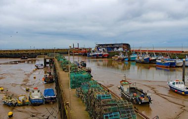 Bridlington, İngiltere 'nin Yorkshire kentinde bir tatil beldesidir. Brid olarak da bilinen kasaba, Yorkshire 'ın doğu kıyısında, Hull' un kuzeyinde ve Flamborough Head 'in güneyinde yer almaktadır..