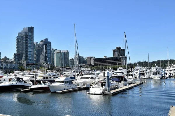Vancouver is a coastal seaport city in western Canada, located in the Lower Mainland region of British Columbia.