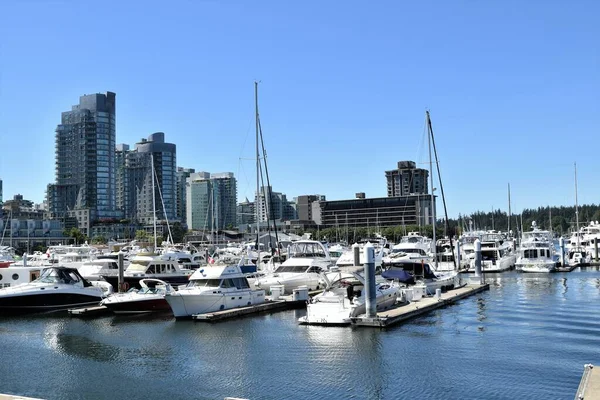 Vancouver Una Ciudad Costera Situada Oeste Canadá Región Del Bajo — Foto de Stock